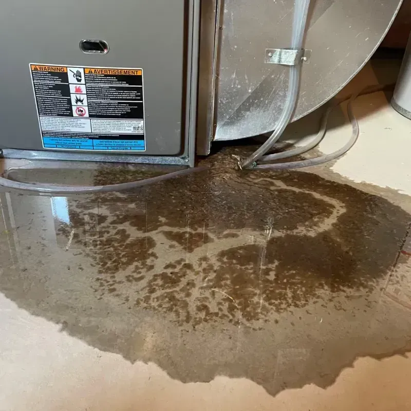 Appliance Leak Cleanup in Connelly Springs, NC